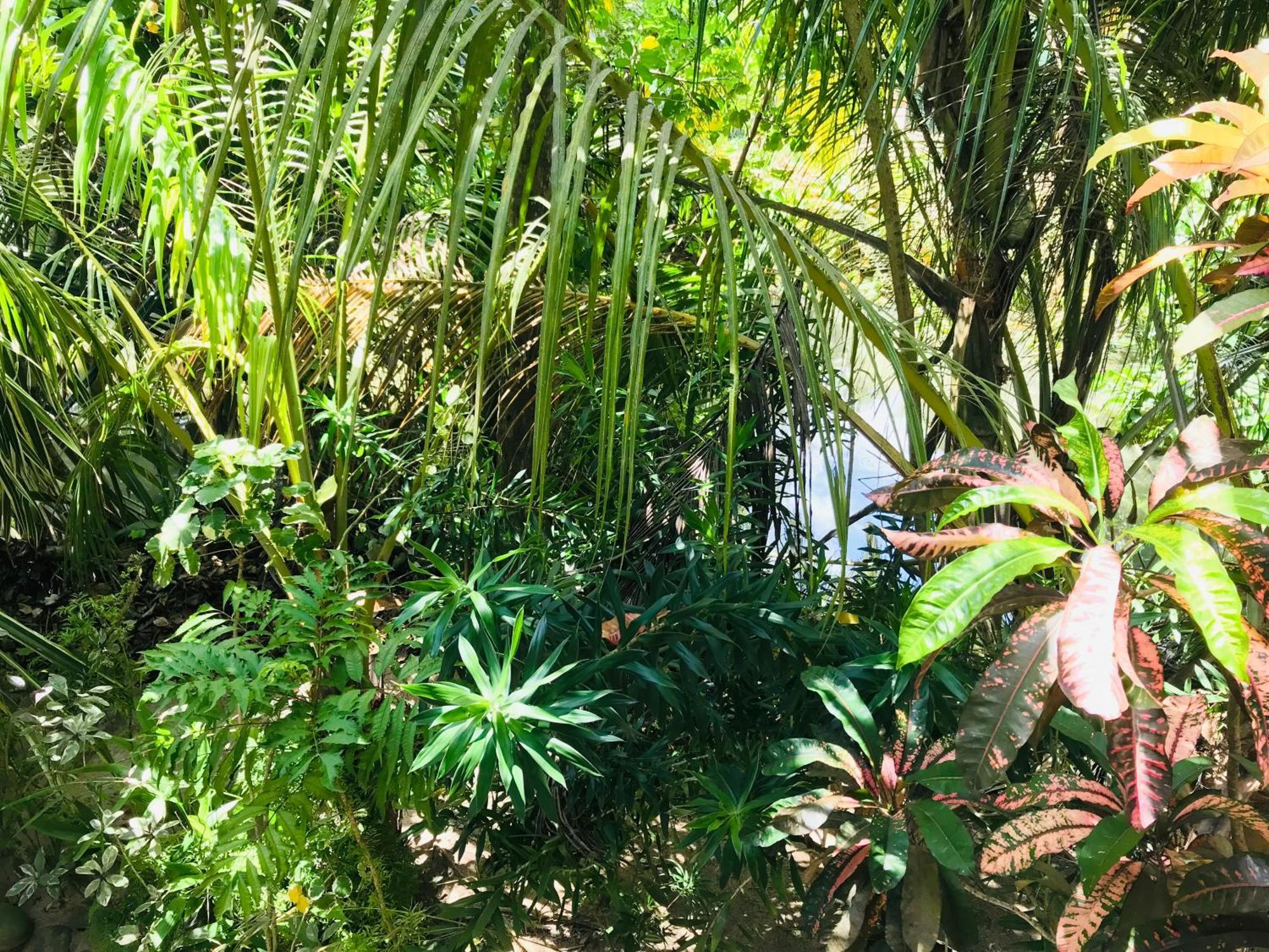 Flora And Fauna Mirissa Bagian luar foto