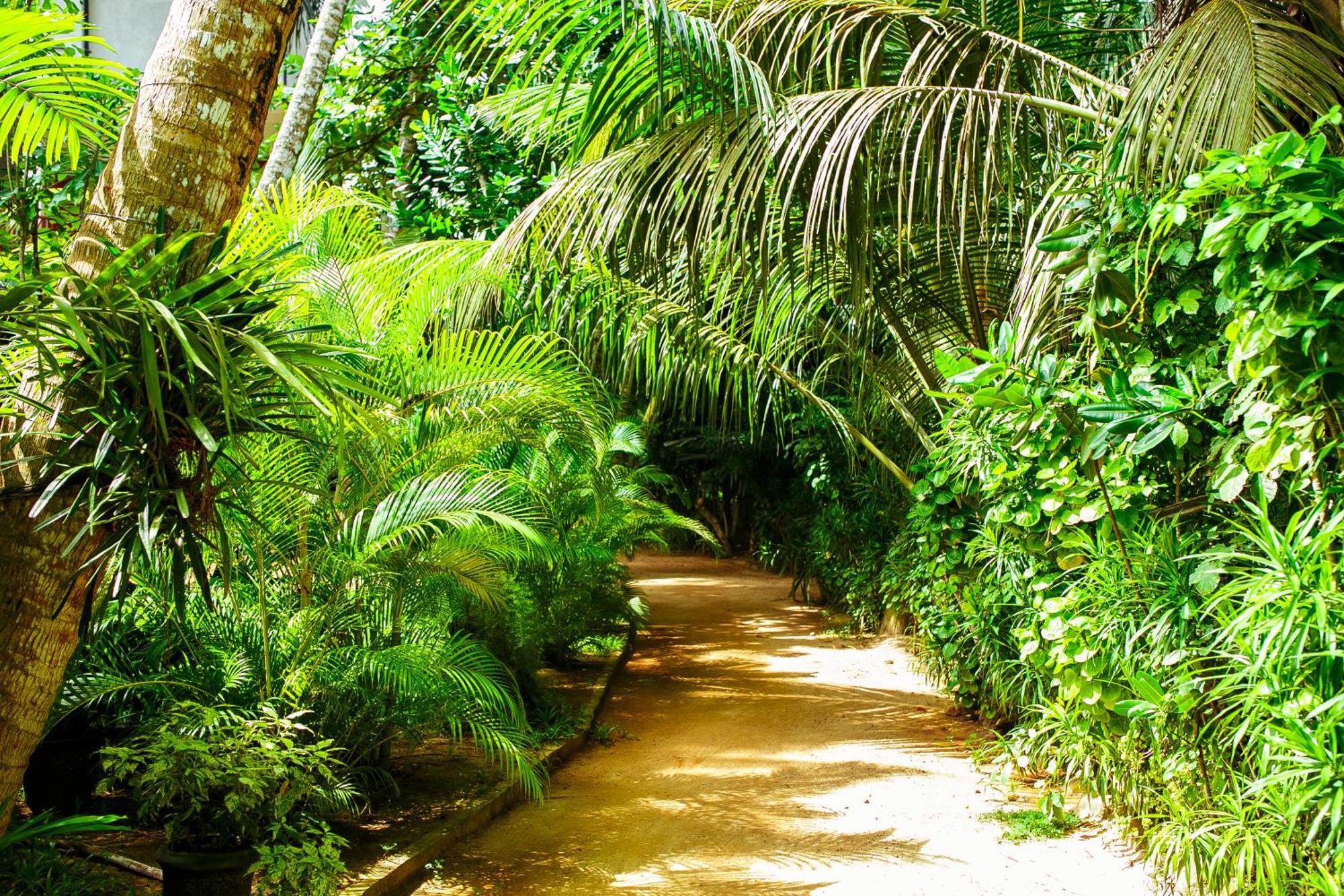 Flora And Fauna Mirissa Bagian luar foto