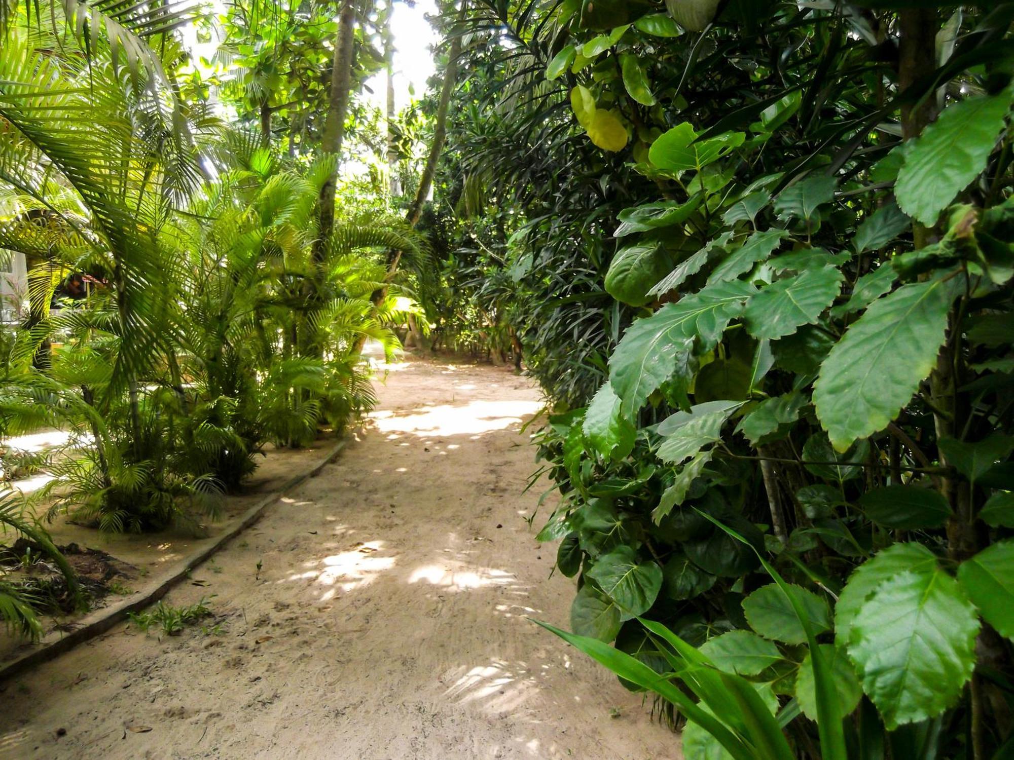 Flora And Fauna Mirissa Bagian luar foto