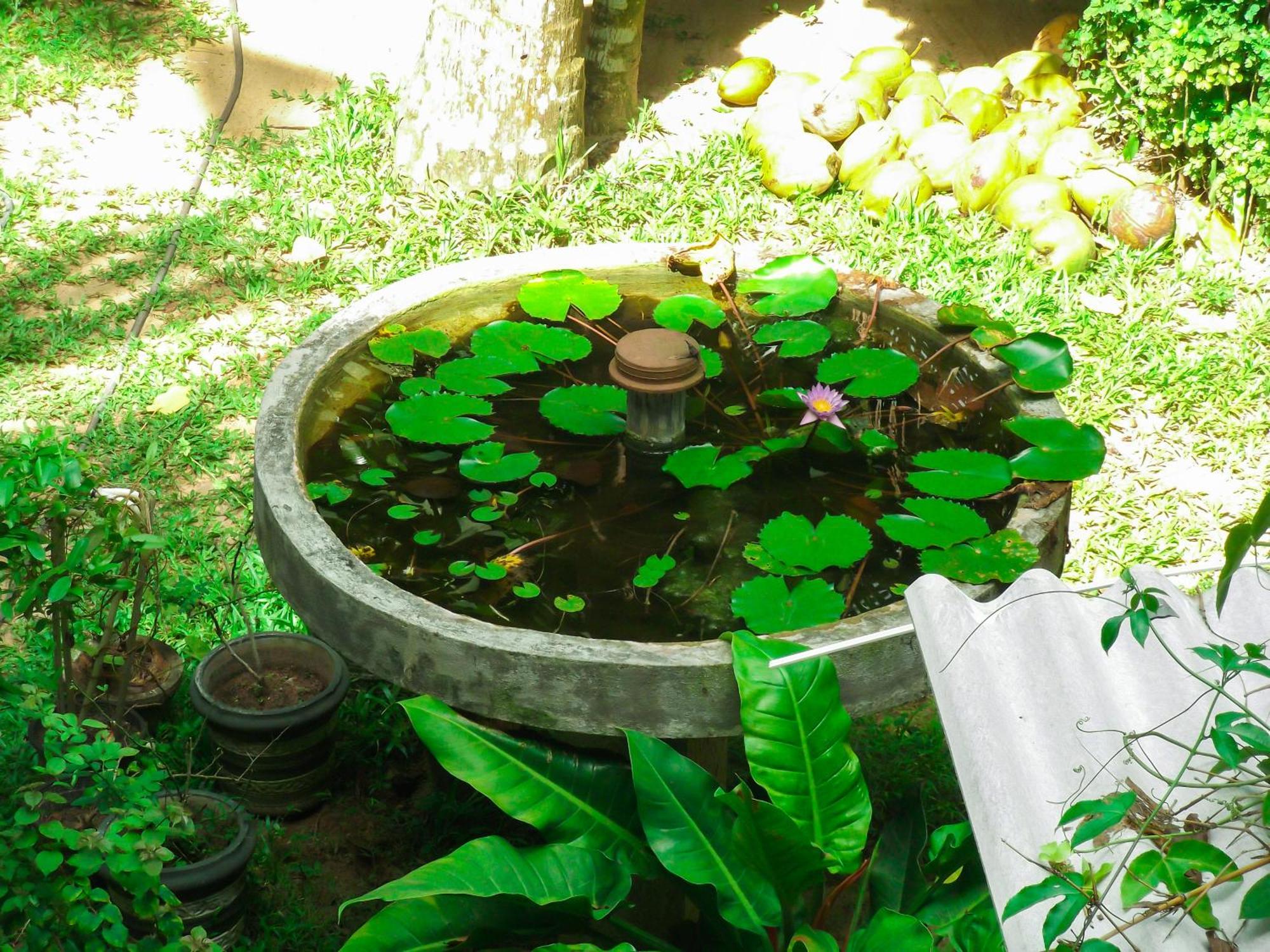 Flora And Fauna Mirissa Bagian luar foto